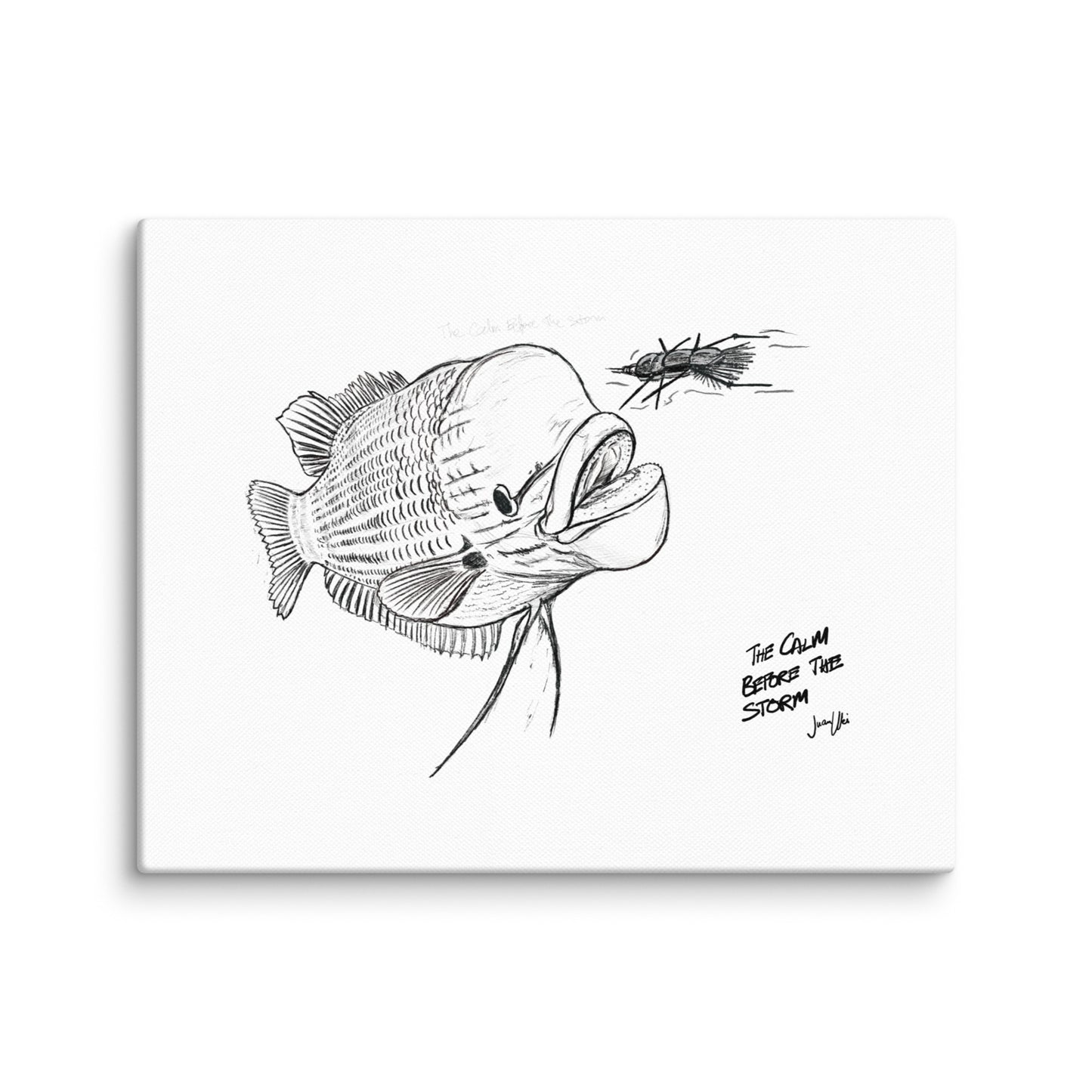 Giant Red Gourami Canvas